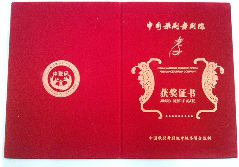 2014-7中歌风比赛优秀指导老师证书